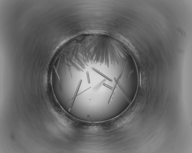 X0000111000204200906261506