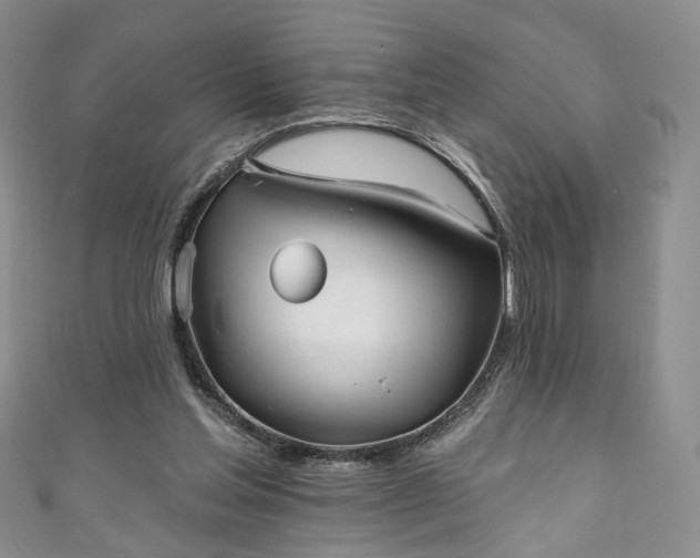 X0000111000205200906261506