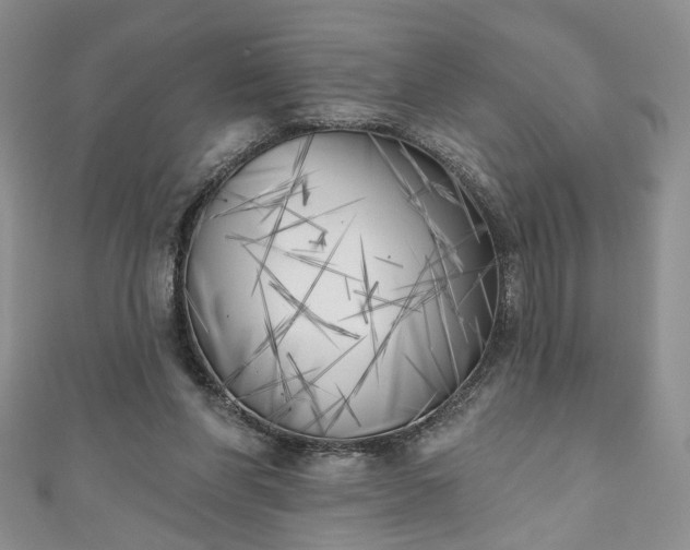X0000111000206200906261506