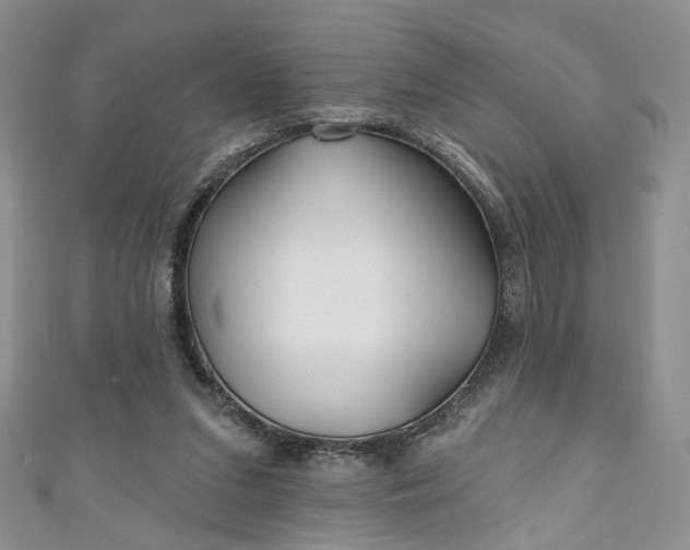 X0000111000207200906261506