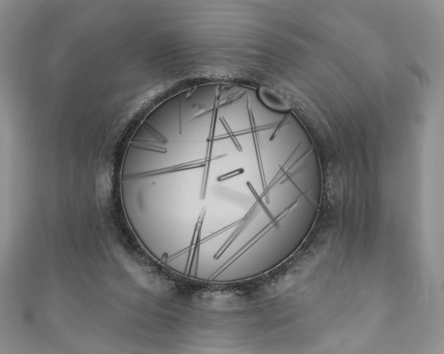 X0000111000208200906261506