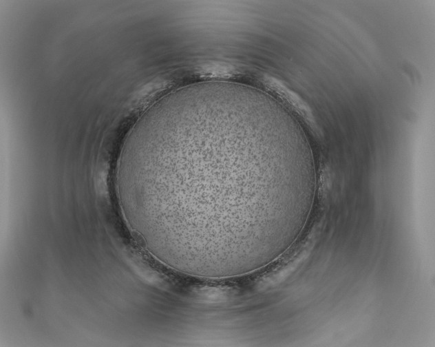 X0000111000209200906261506