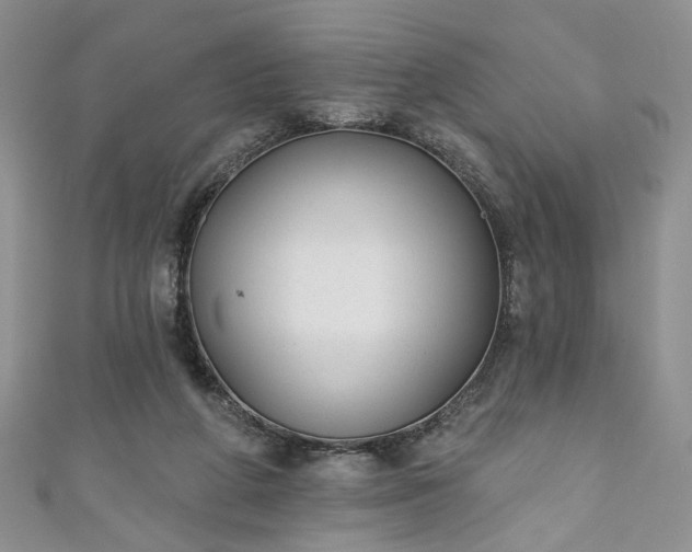 X0000111000210200906261506