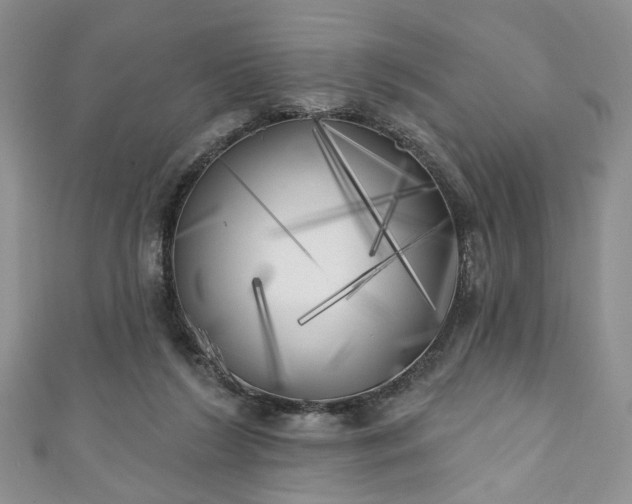 X0000111000212200906261506