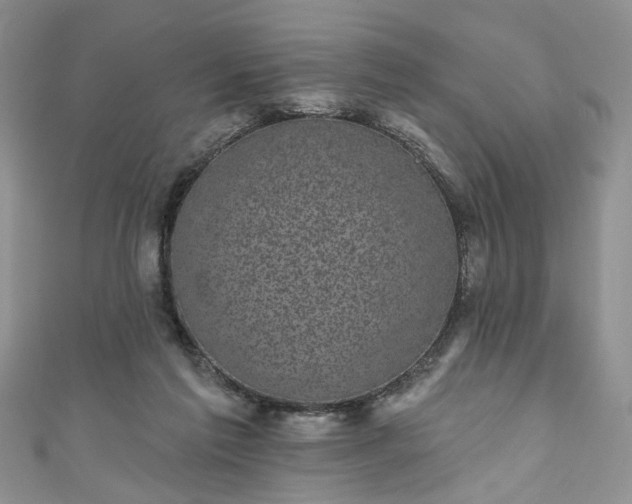 X0000111000213200906261506