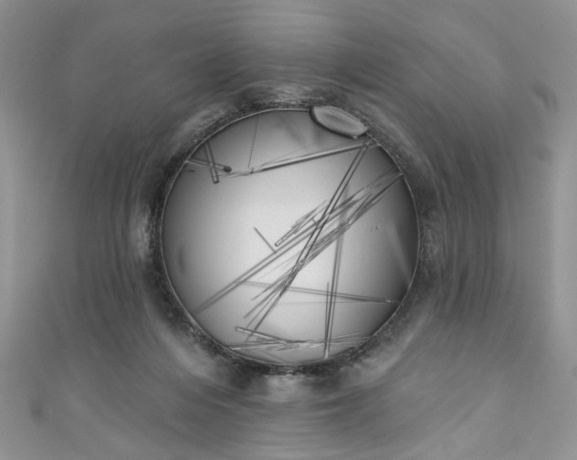 X0000111000216200906261506