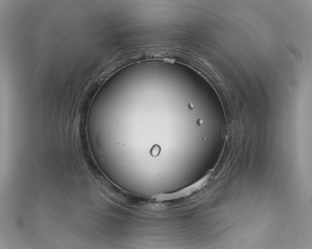 X0000111000217200906261506