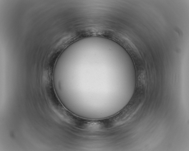 X0000111000218200906261506