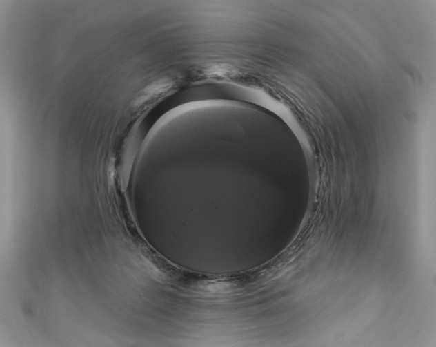 X0000111000219200906261505