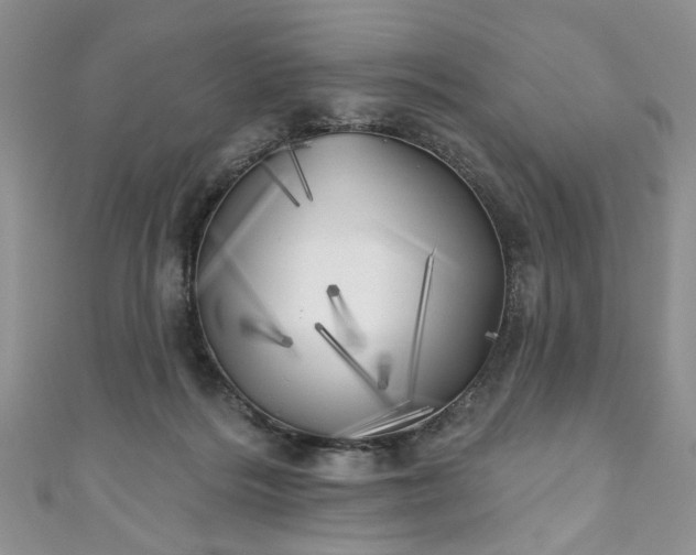 X0000111000220200906261505