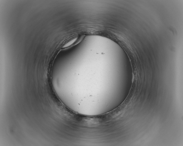 X0000111000221200906261505