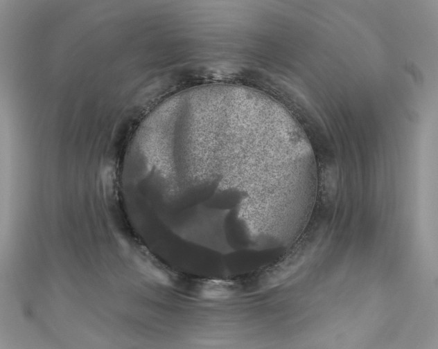 X0000111000222200906261505