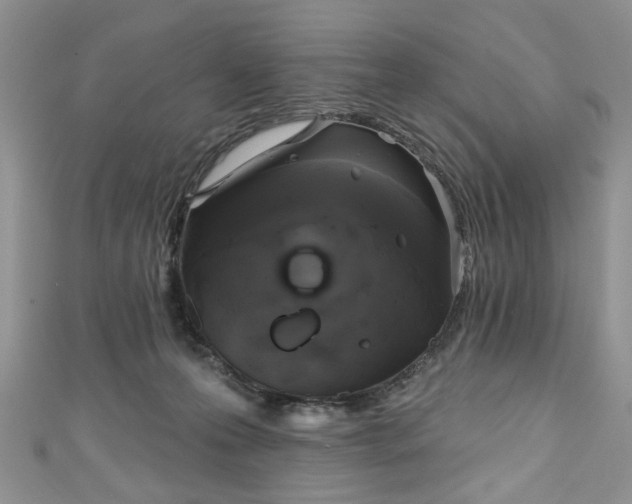 X0000111000223200906261505