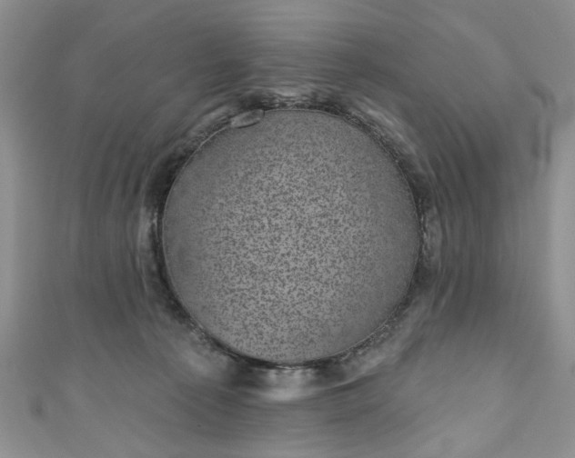 X0000111000225200906261505