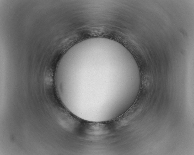 X0000111000226200906261505