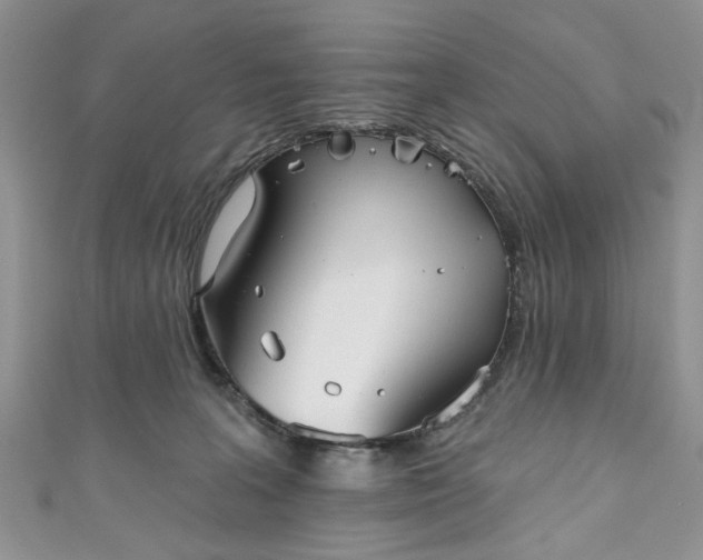 X0000111000227200906261505