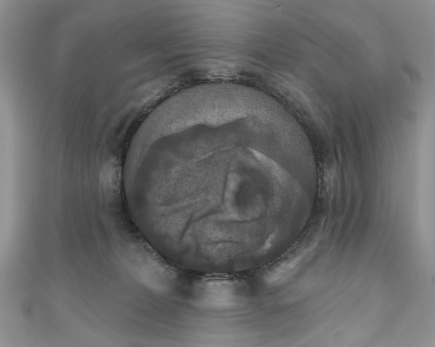 X0000111000228200906261505