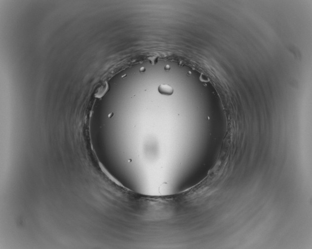 X0000111000229200906261505