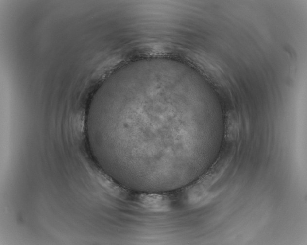 X0000111000230200906261505