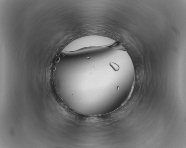 X0000111000231200906261505