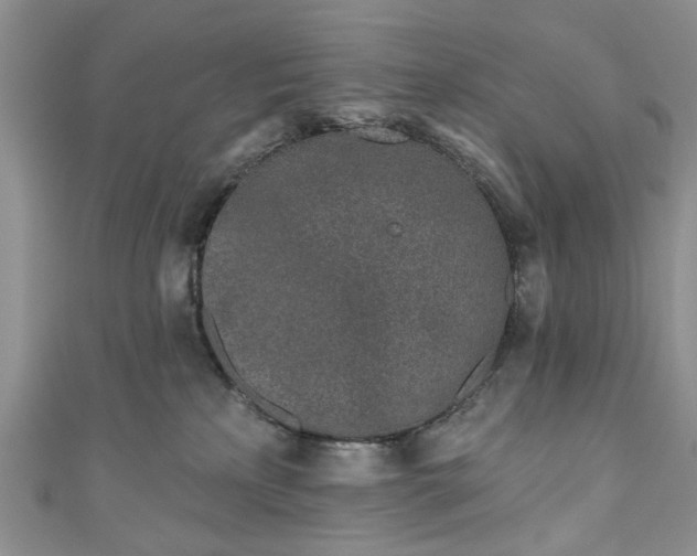 X0000111000233200906261505