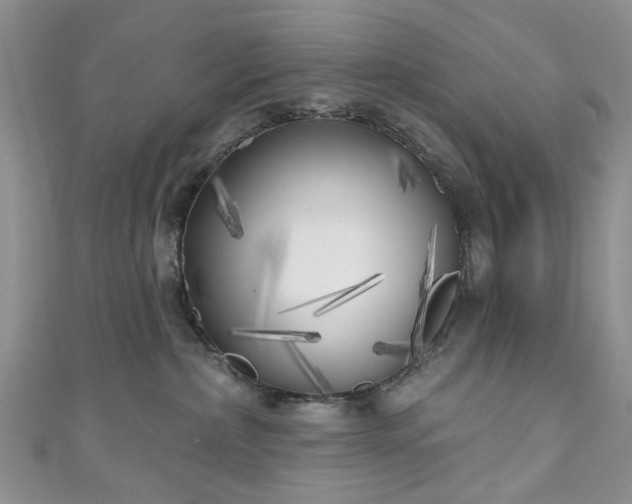 X0000111000236200906261505