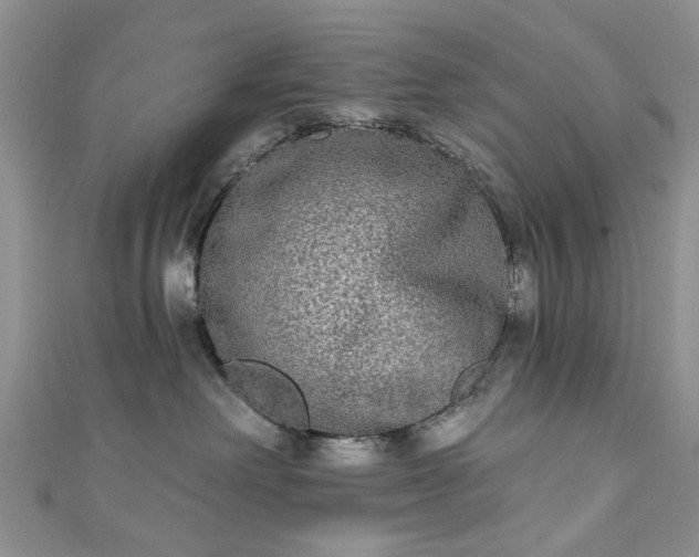 X0000111000238200906261505