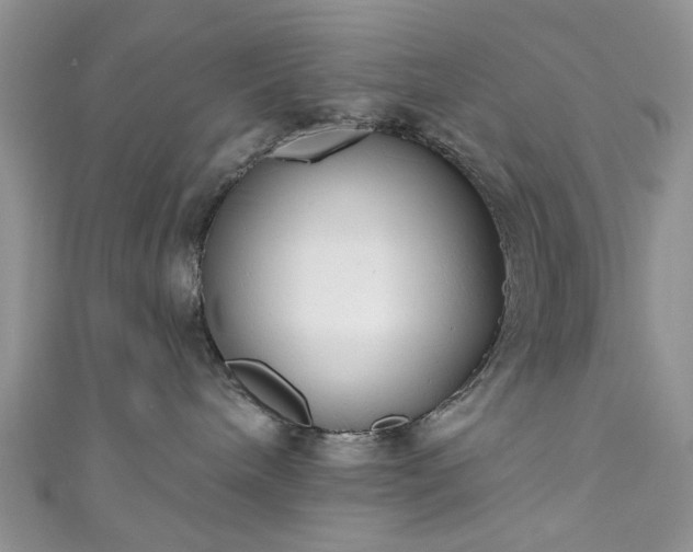 X0000111000240200906261505