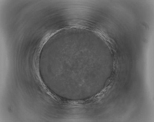 X0000111000241200906261504