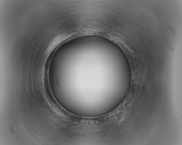 X0000111000242200906261504