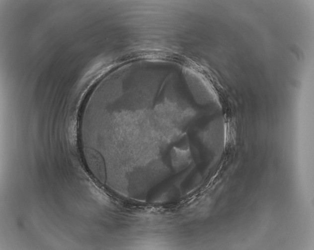 X0000111000243200906261504