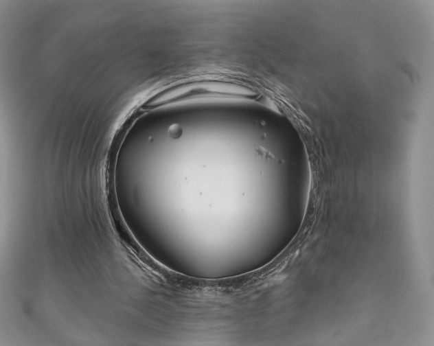 X0000111000244200906261504