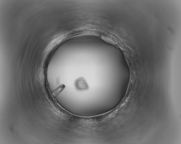 X0000111000245200906261504