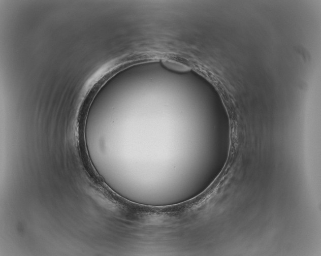 X0000111000246200906261504