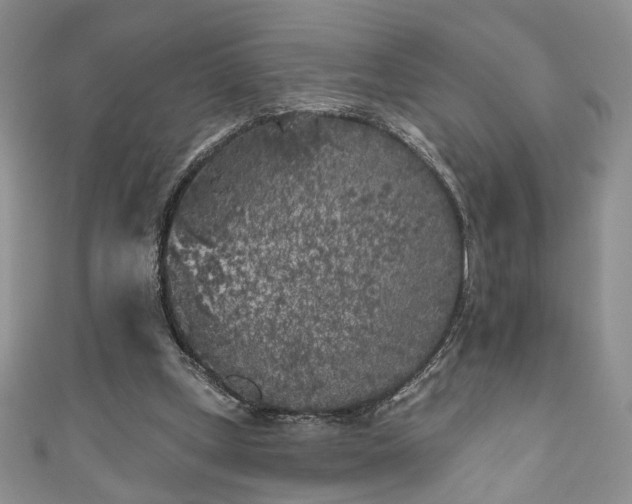 X0000111000249200906261505