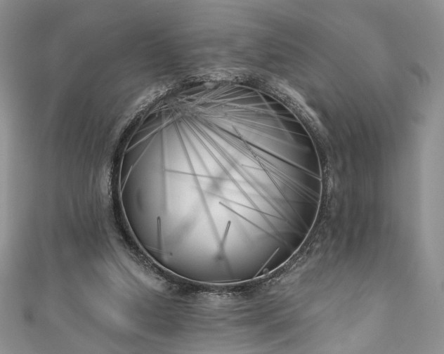 X0000111000250200906261505