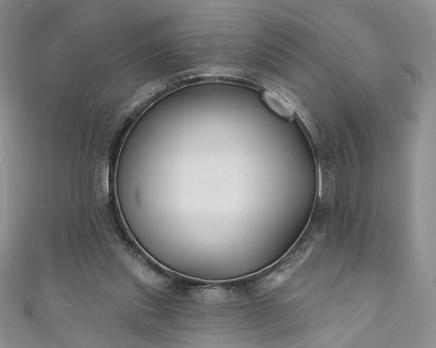 X0000111000253200906261505