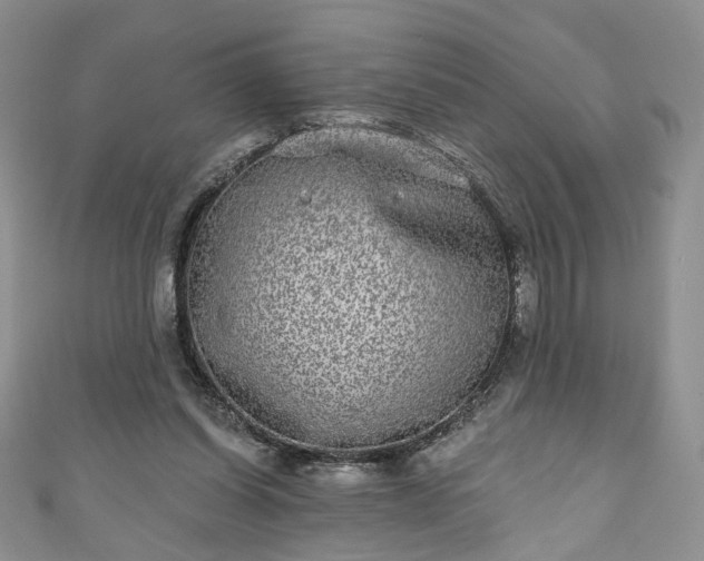 X0000111000254200906261505