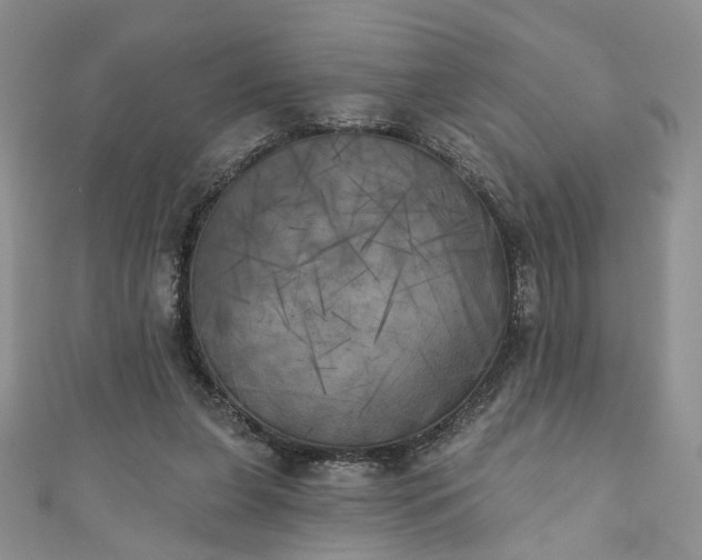 X0000111000255200906261505
