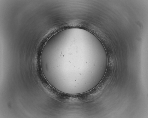 X0000111000256200906261505