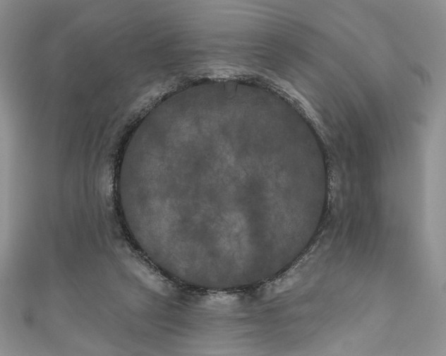 X0000111000257200906261505