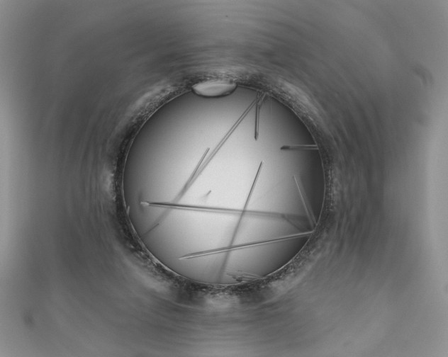 X0000111000258200906261505