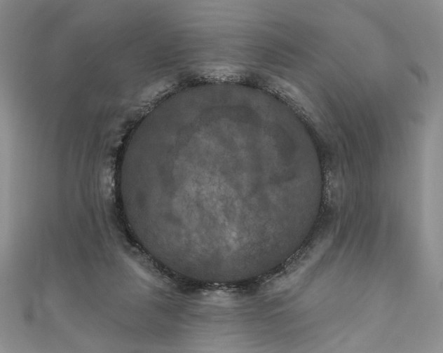 X0000111000259200906261505