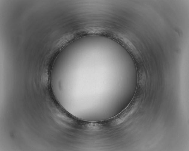 X0000111000261200906261505