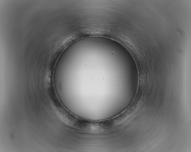 X0000111000264200906261505