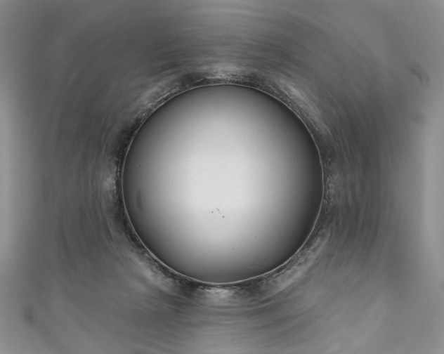 X0000111000265200906261505