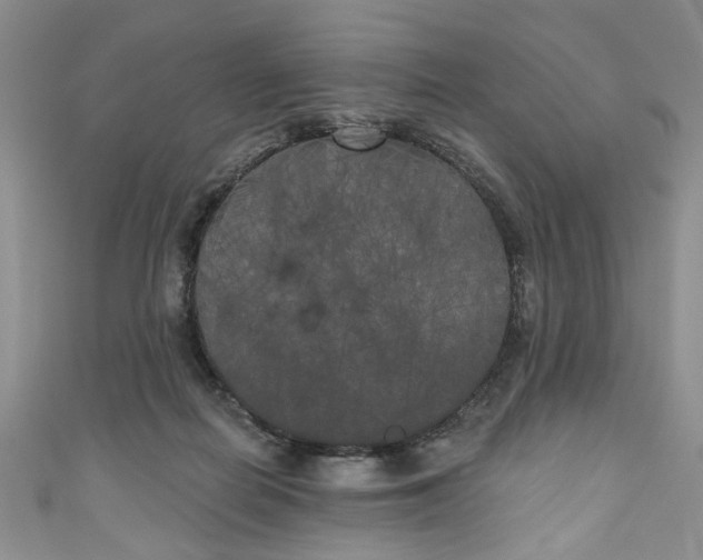 X0000111000266200906261505