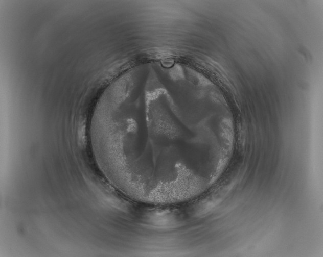 X0000111000267200906261505