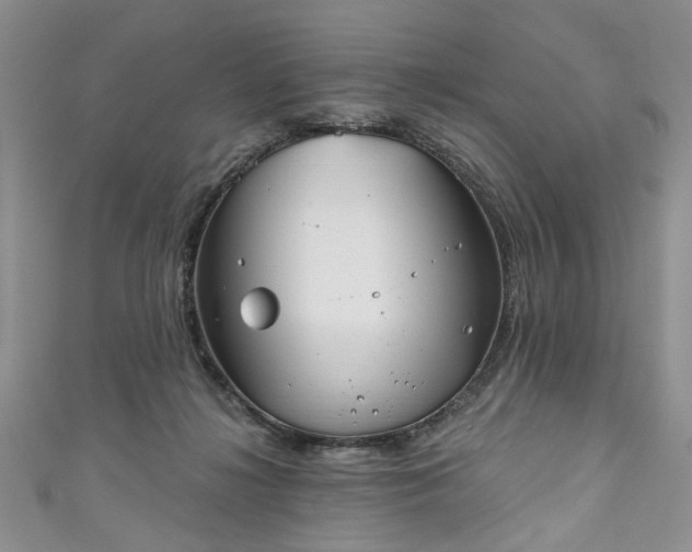 X0000111000268200906261505