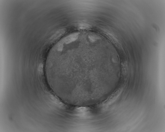 X0000111000269200906261505